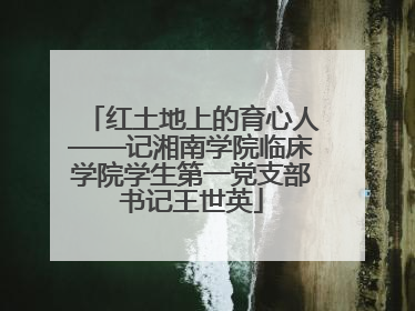 红土地上的育心人——记湘南学院临床学院学生第一党支部书记王世英
