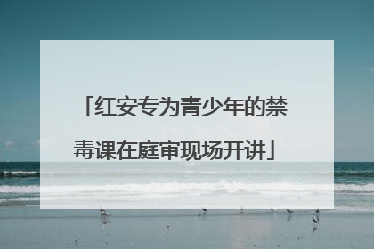 红安专为青少年的禁毒课在庭审现场开讲