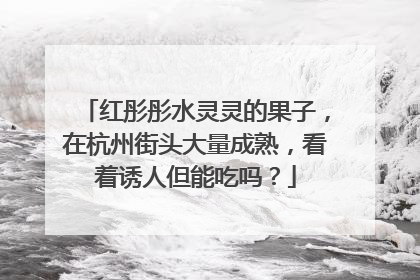红彤彤水灵灵的果子，在杭州街头大量成熟，看着诱人但能吃吗？