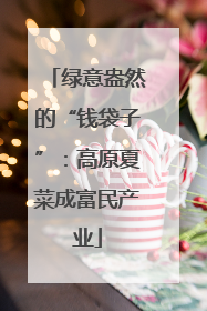 绿意盎然的“钱袋子”：高原夏菜成富民产业
