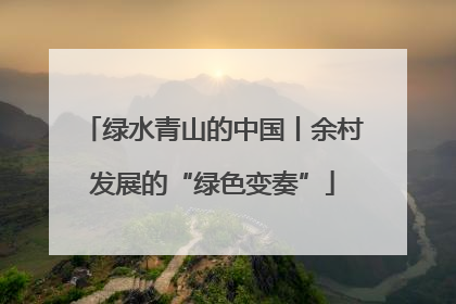 绿水青山的中国丨余村发展的“绿色变奏”