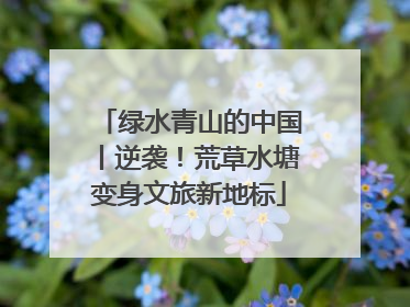 绿水青山的中国丨逆袭！荒草水塘变身文旅新地标