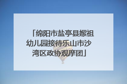 绵阳市盐亭县嫘祖幼儿园接待乐山市沙湾区政协观摩团