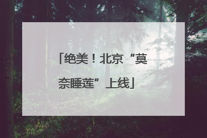 绝美！北京“莫奈睡莲”上线