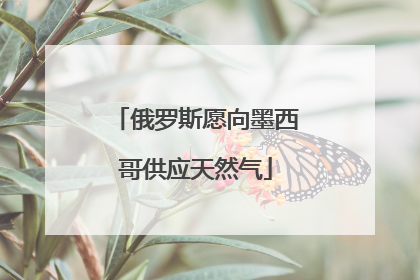 俄罗斯愿向墨西哥供应天然气