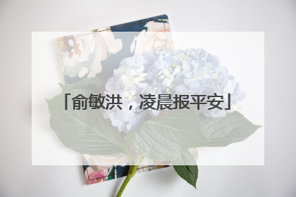 俞敏洪，凌晨报平安
