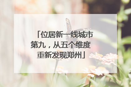 位居新一线城市第九，从五个维度重新发现郑州