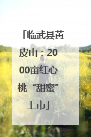 临武县黄皮山：2000亩红心桃“甜蜜”上市