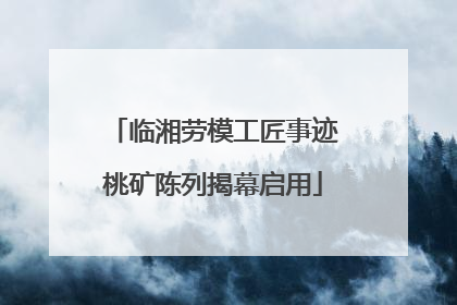 临湘劳模工匠事迹桃矿陈列揭幕启用