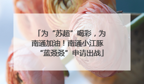 为“苏超”喝彩，为南通加油！南通小江豚“蓝叒叒”申请出战