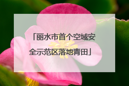 丽水市首个空域安全示范区落地青田