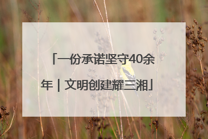 一份承诺坚守40余年｜文明创建耀三湘