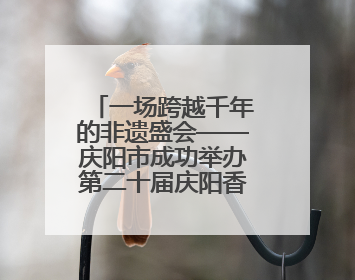 一场跨越千年的非遗盛会——庆阳市成功举办第二十届庆阳香包民俗文化节