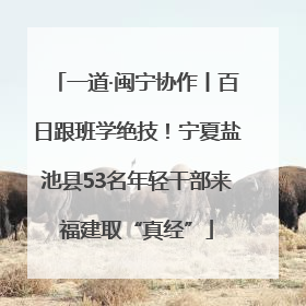 一道·闽宁协作丨百日跟班学绝技！宁夏盐池县53名年轻干部来福建取“真经”
