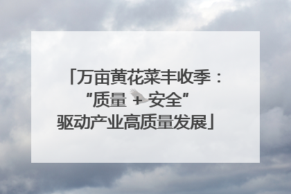 万亩黄花菜丰收季：“质量 + 安全” 驱动产业高质量发展