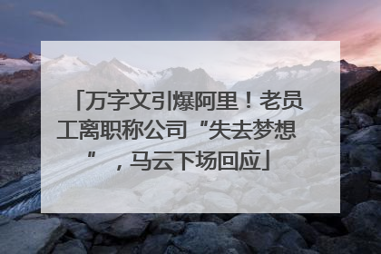 万字文引爆阿里！老员工离职称公司“失去梦想”，马云下场回应