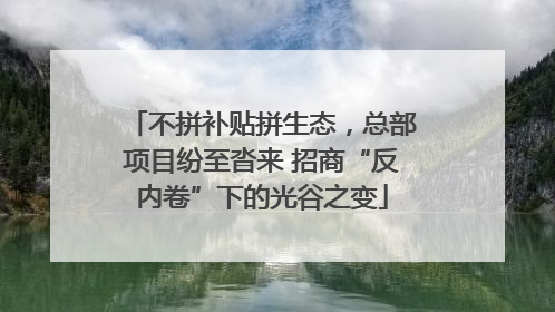 不拼补贴拼生态，总部项目纷至沓来 招商“反内卷”下的光谷之变