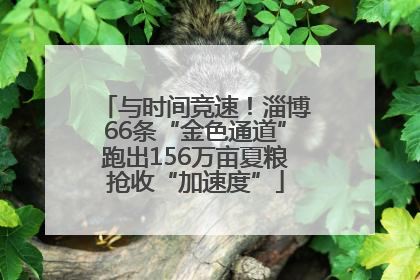 与时间竞速！淄博66条“金色通道”跑出156万亩夏粮抢收“加速度”