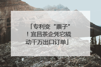专利变“票子”！宜昌茶企凭它撬动千万出口订单