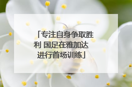 专注自身争取胜利 国足在雅加达进行首场训练