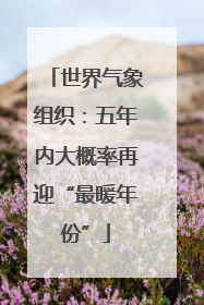 世界气象组织：五年内大概率再迎“最暖年份”