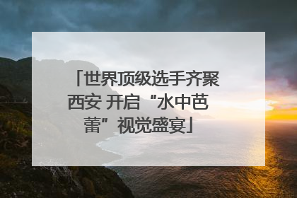 世界顶级选手齐聚西安 开启“水中芭蕾”视觉盛宴