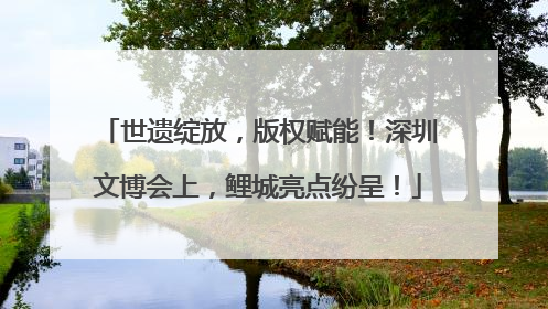 世遗绽放，版权赋能！深圳文博会上，鲤城亮点纷呈！