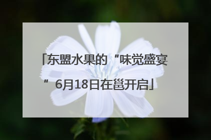 东盟水果的“味觉盛宴”6月18日在邕开启