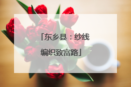 东乡县：纱线编织致富路