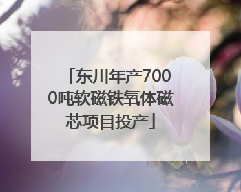东川年产7000吨软磁铁氧体磁芯项目投产