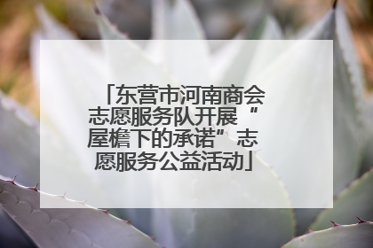 东营市河南商会志愿服务队开展“屋檐下的承诺”志愿服务公益活动