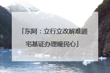 东阿：立行立改解难题 宅基证办理暖民心