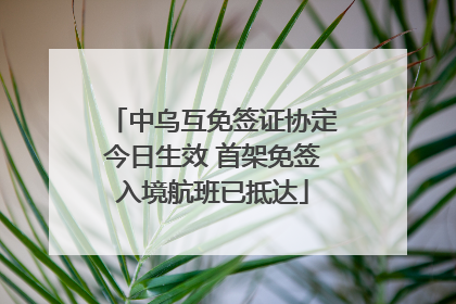 中乌互免签证协定今日生效 首架免签入境航班已抵达
