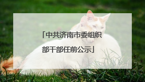 中共济南市委组织部干部任前公示