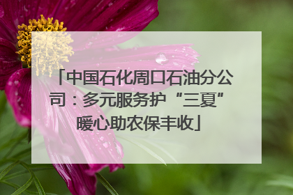 中国石化周口石油分公司：多元服务护“三夏” 暖心助农保丰收