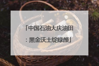 中国石油大庆油田：黑金沃土绽绿颜