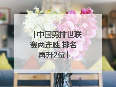 中国男排世联赛两连胜 排名再升2位