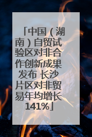 中国（湖南）自贸试验区对非合作创新成果发布 长沙片区对非贸易年均增长141%