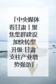 中央媒体看甘肃丨聚焦集群建设 加快转型升级 甘肃支柱产业增势强劲