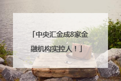 中央汇金成8家金融机构实控人！