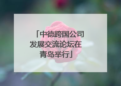 中德跨国公司发展交流论坛在青岛举行