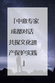 中意专家成都对话 共探文化遗产保护实践