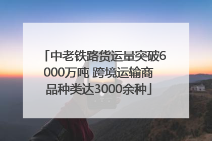 中老铁路货运量突破6000万吨 跨境运输商品种类达3000余种