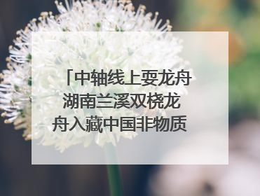 中轴线上耍龙舟 湖南兰溪双桡龙舟入藏中国非物质文化遗产馆