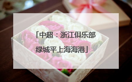 中超：浙江俱乐部绿城平上海海港