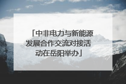 中非电力与新能源发展合作交流对接活动在岳阳举办