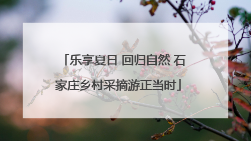 乐享夏日 回归自然 石家庄乡村采摘游正当时