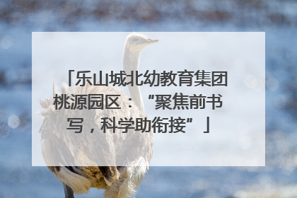 乐山城北幼教育集团桃源园区：“聚焦前书写，科学助衔接”