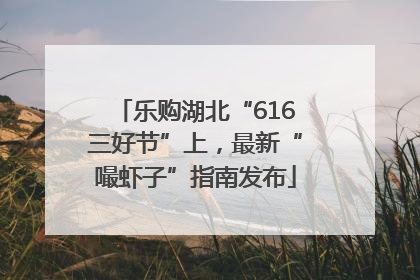 乐购湖北“616三好节”上，最新“嘬虾子”指南发布