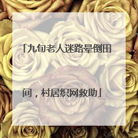 九旬老人迷路晕倒田间，村居织网救助